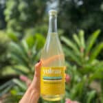 Yoleau Spritz fleur de sureau - Cocktail pétillant sans alcool