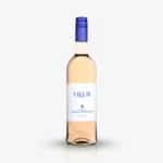 Effervescent Rosé Tour Campanets