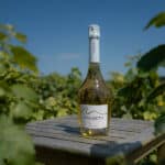 Malizeth blanc de blancs