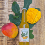 Sevenne mangue figuier