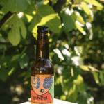 Archipel - Kom. Feuilles Clémentine