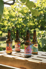 Archipel – Kom. Feuilles cassis 75cl - vue 1 - Kombucha