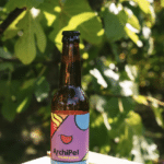 Archipel – Kom. Feuilles cassis 75cl - Kombucha