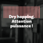 Bière Beach Bum - IPA – Image 3