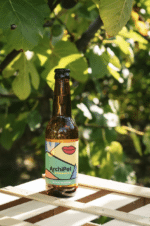 Archipel - Kom. Feuilles figuier