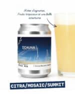 Popihn – Pale Ale - vue 1 - Blonde