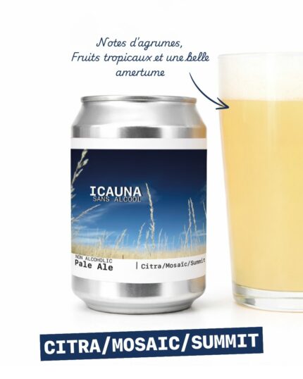Popihn – Pale Ale - vue 1 - Blonde