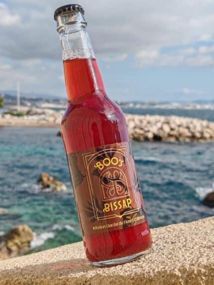 Boo’s Bissau-Infusion glacée de fleurs d’hibiscus - Softs