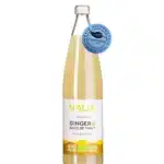 Nalia – Gingembre et Baies de Timut Zéro sucre 75cl - Gingembre