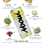 NOOUI yuzu 33cl - Softs